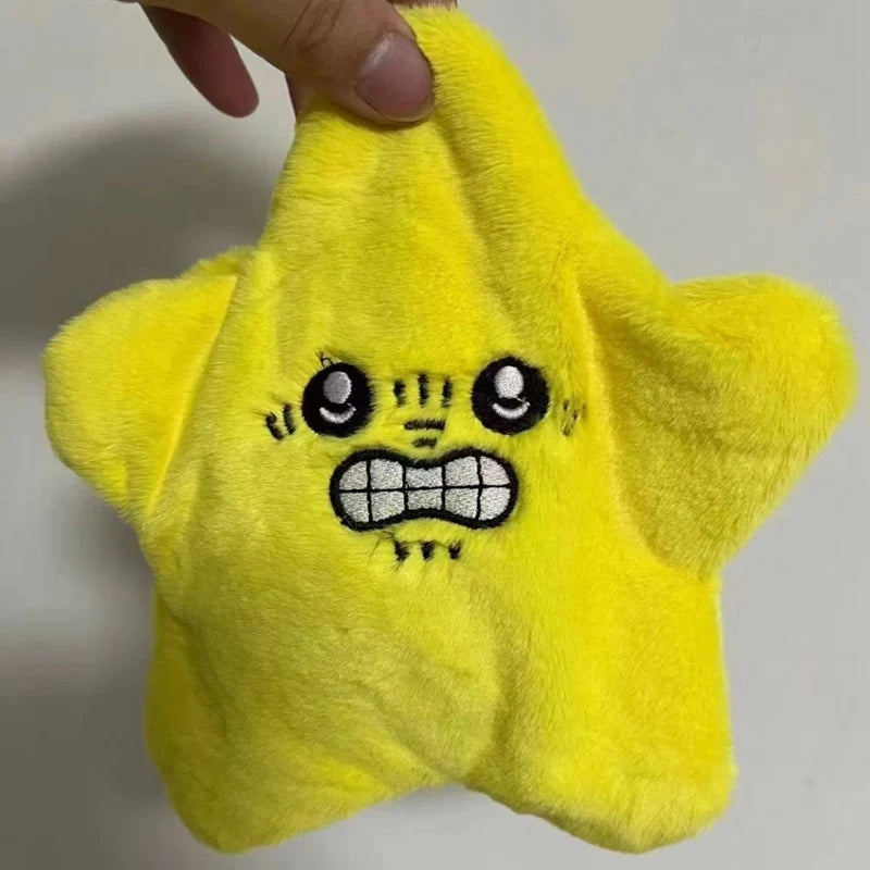 Plush Star Pet Toy