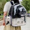 Transparent Pet Backpack – Breathable Cat & Small Dog Carrier, Portable Space Capsule Design