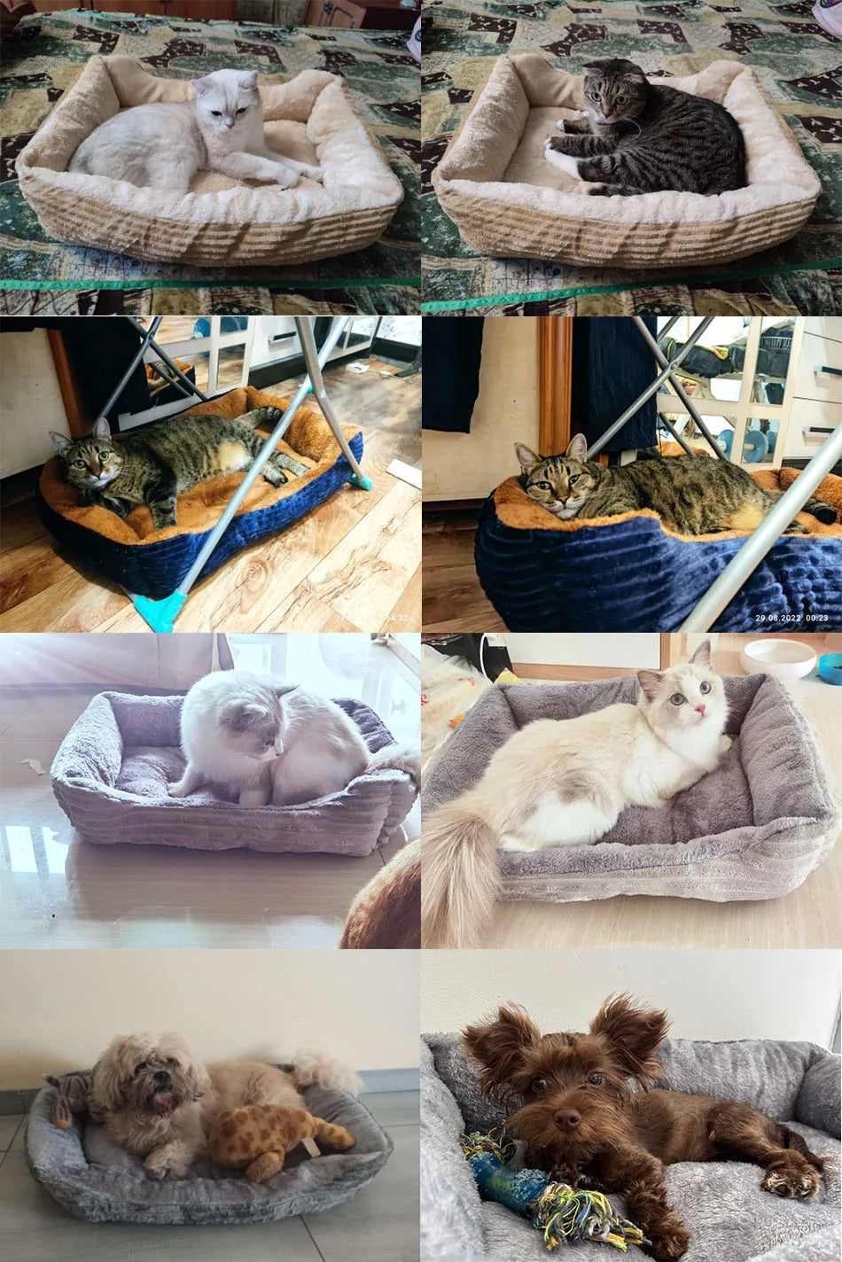 Square Plush Pet Bed for Dogs & Cats