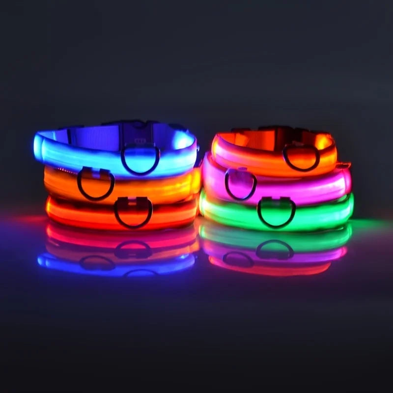 LED Nylon Dog Collar & Leash – Rechargeable Glow-in-the-Dark Night Safety Pet Accessory