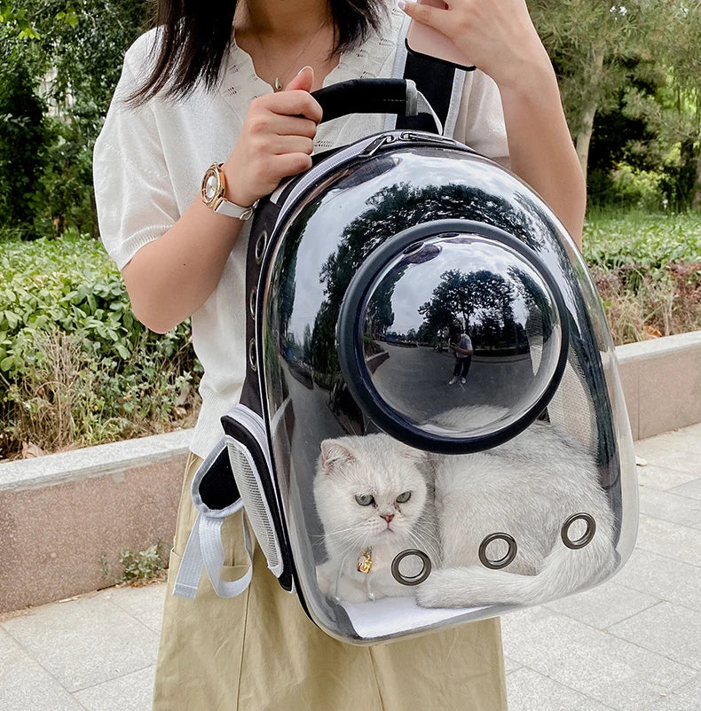 Transparent Pet Backpack β Breathable Cat & Small Dog Carrier, Portable Space Capsule Design