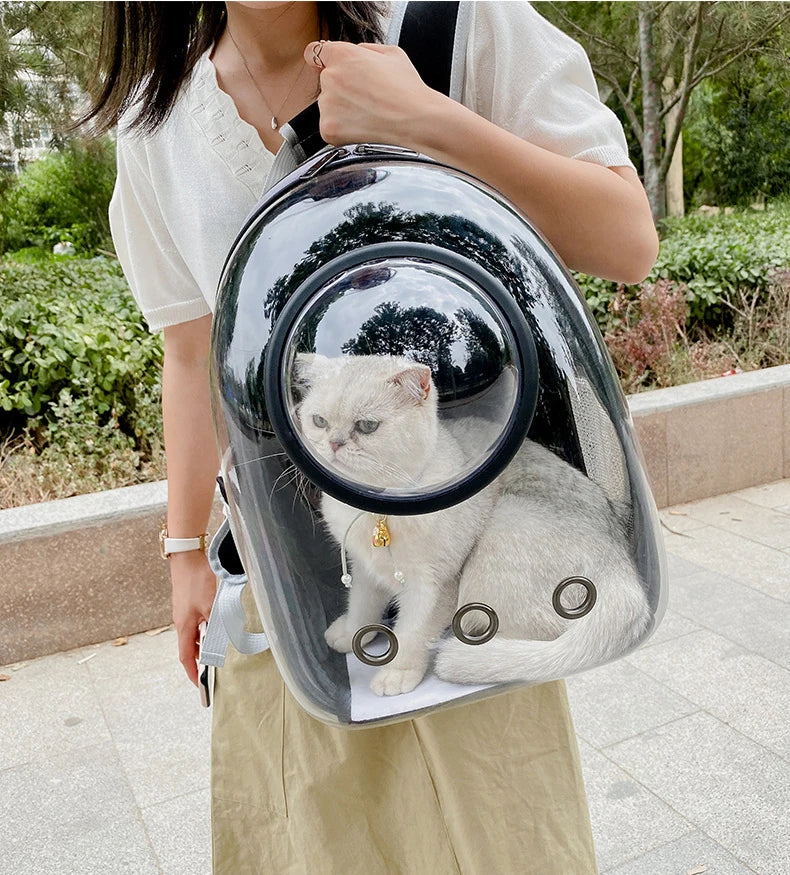 Transparent Pet Backpack β Breathable Cat & Small Dog Carrier, Portable Space Capsule Design