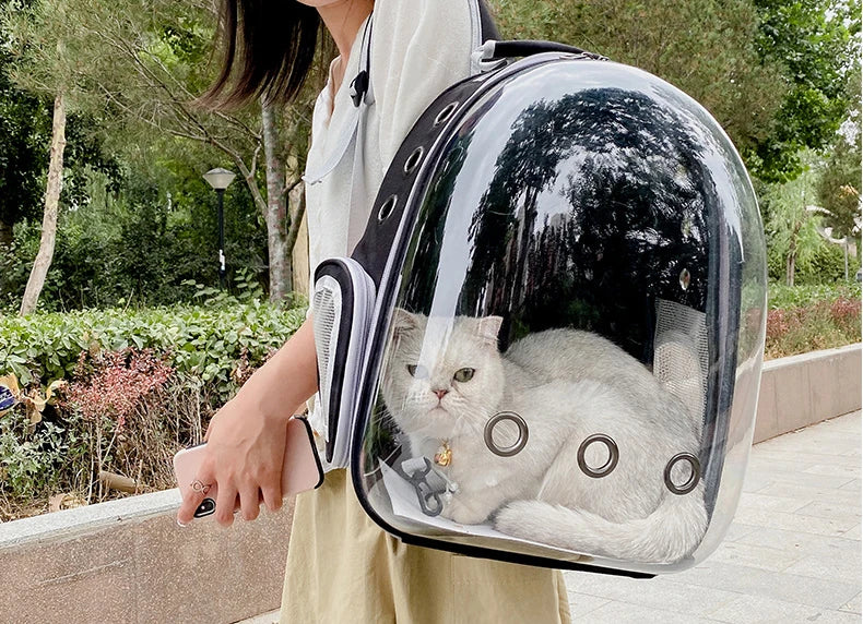Transparent Pet Backpack β Breathable Cat & Small Dog Carrier, Portable Space Capsule Design