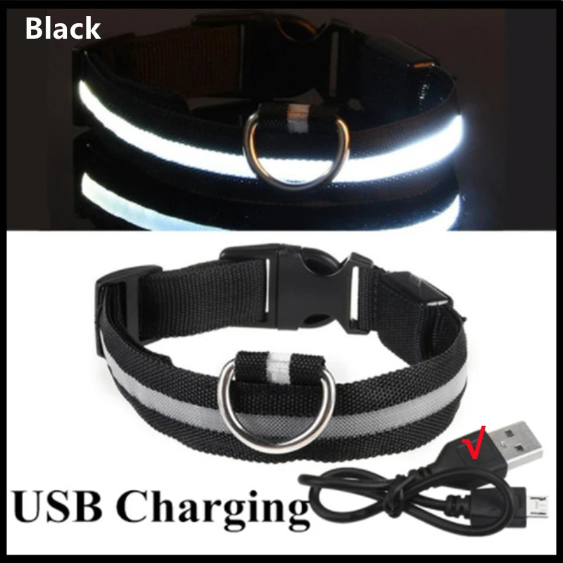 LED Dog Collar ā USB Rechargeable Glow Collar with 3 Light Modes for Night Safety