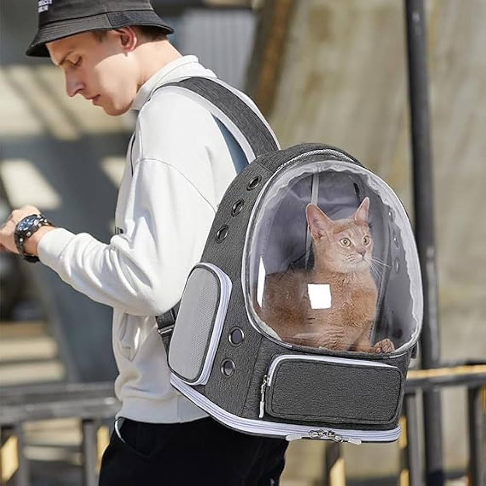 Carriers & Travel