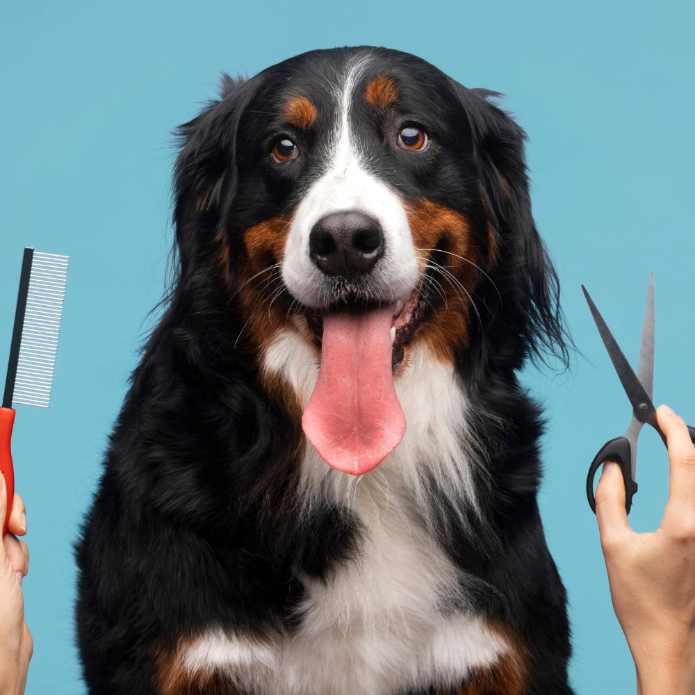 Grooming Supplies