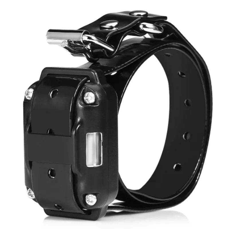 Waterproof Electric Dog Training Collar