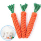 Dog Chew Toy