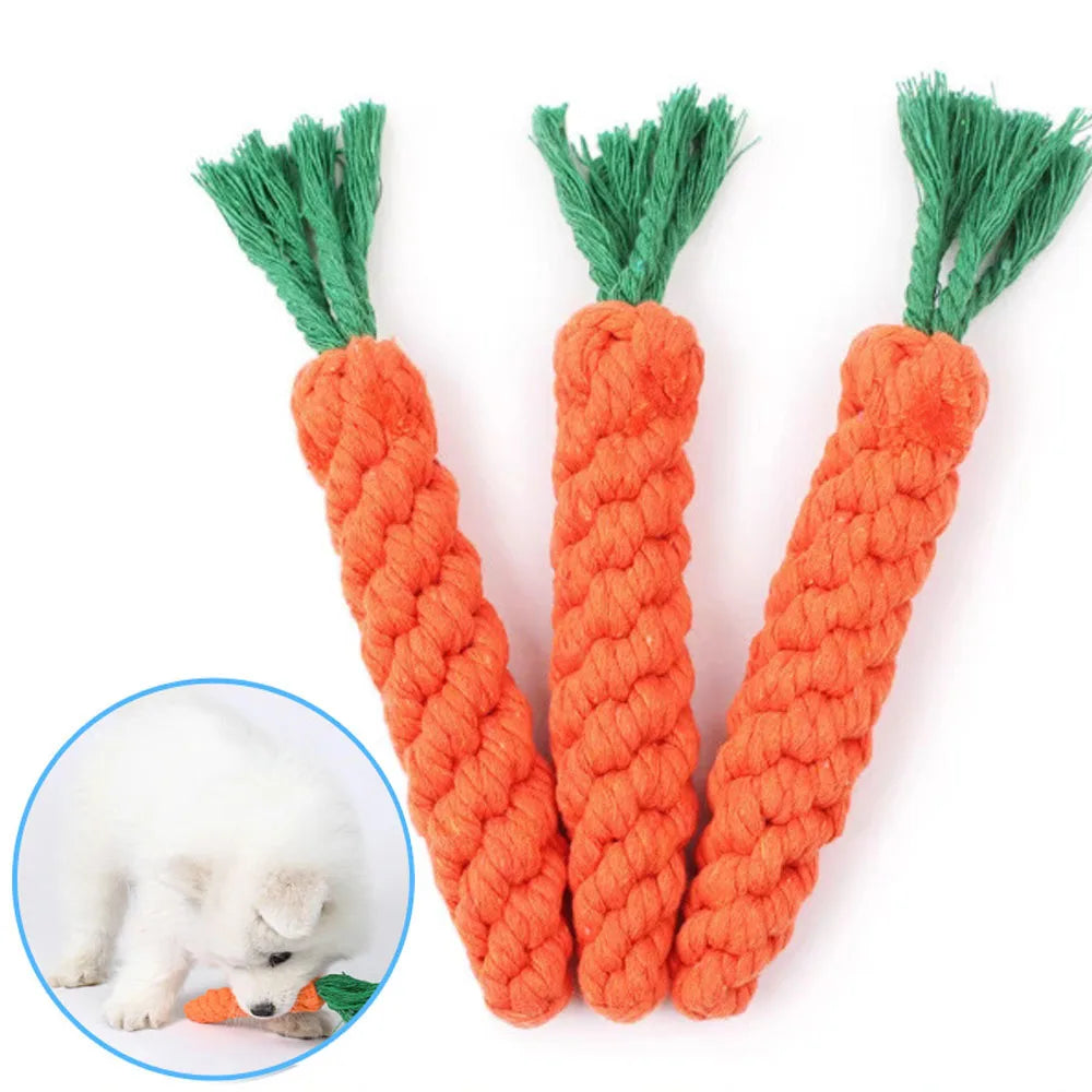 Dog Chew Toy