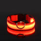 LED Nylon Dog Collar & Leash – Rechargeable Glow-in-the-Dark Night Safety Pet Accessory