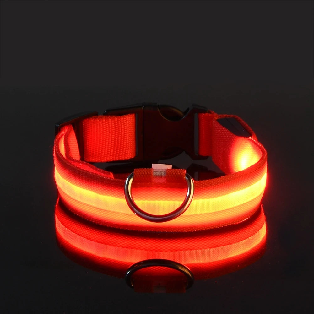LED Nylon Dog Collar & Leash – Rechargeable Glow-in-the-Dark Night Safety Pet Accessory