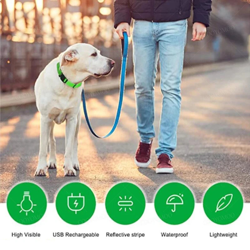 LED Dog Collar – USB Rechargeable Glow Collar with 3 Light Modes for Night Safety