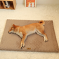 Orthopedic 3D Foam Dog Bed