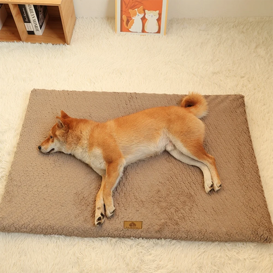 Orthopedic 3D Foam Dog Bed
