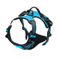 Dog Collars Harness Big Vests Leash Pet Shop Everything for Dogs Leather Puppy Accessories Medium Small Set