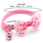 Dog Chew Toy