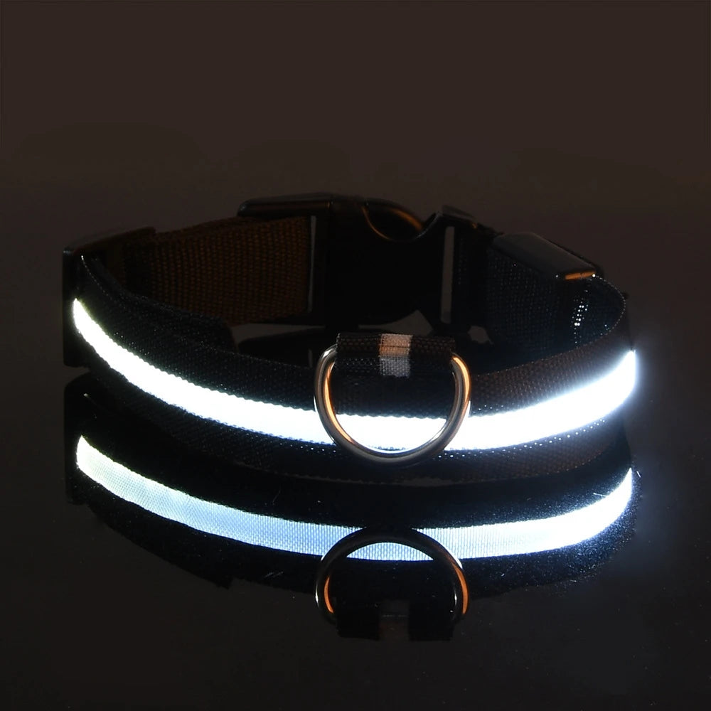 LED Nylon Dog Collar & Leash – Rechargeable Glow-in-the-Dark Night Safety Pet Accessory