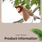 Interactive Catnip Bird Toy for Cats & Dogs