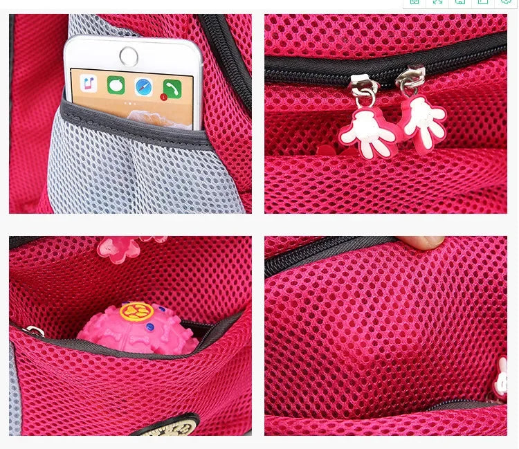 Double-Shoulder Mesh Pet Backpack