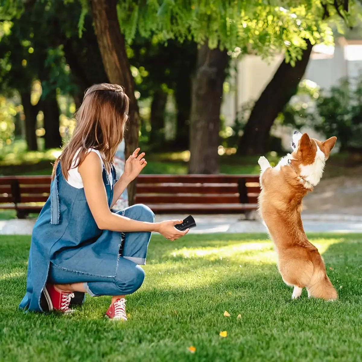 Ultrasonic Dog Bark Stop Trainer