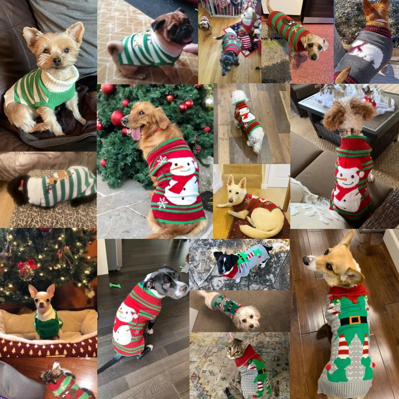 Dogs and other pets Christmas Knitted Sweater