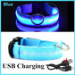 LED Dog Collar – USB Rechargeable Glow Collar with 3 Light Modes for Night Safety