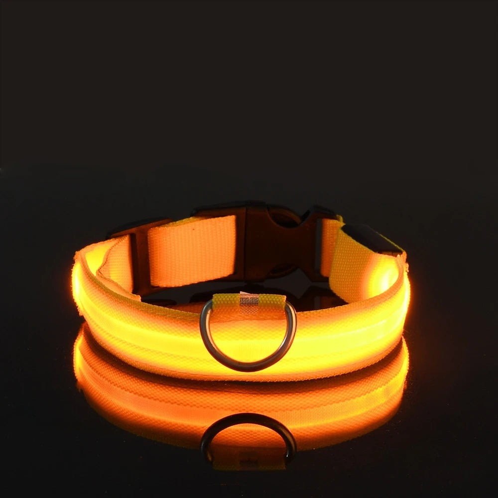 LED Nylon Dog Collar & Leash – Rechargeable Glow-in-the-Dark Night Safety Pet Accessory