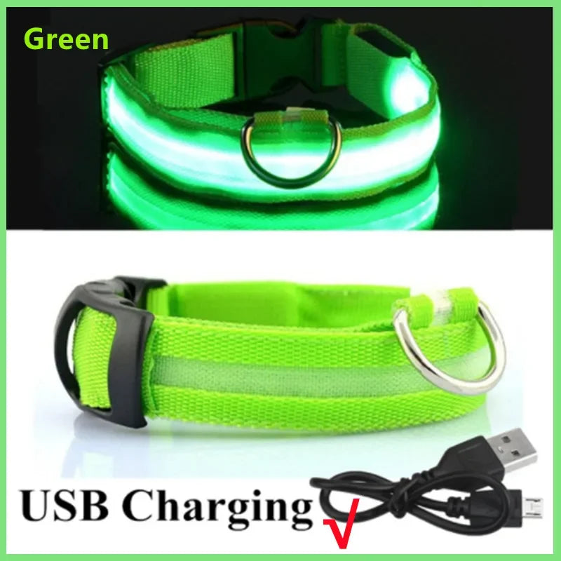 LED Dog Collar – USB Rechargeable Glow Collar with 3 Light Modes for Night Safety