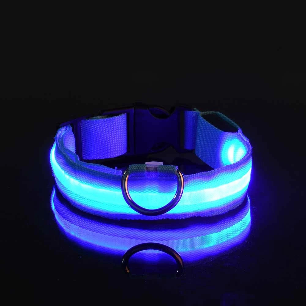 LED Nylon Dog Collar & Leash – Rechargeable Glow-in-the-Dark Night Safety Pet Accessory