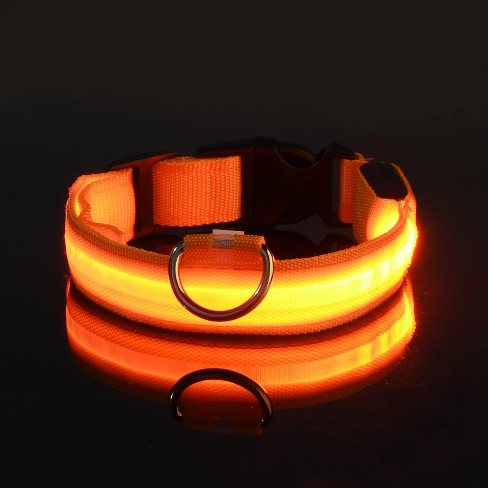 LED Nylon Dog Collar & Leash – Rechargeable Glow-in-the-Dark Night Safety Pet Accessory