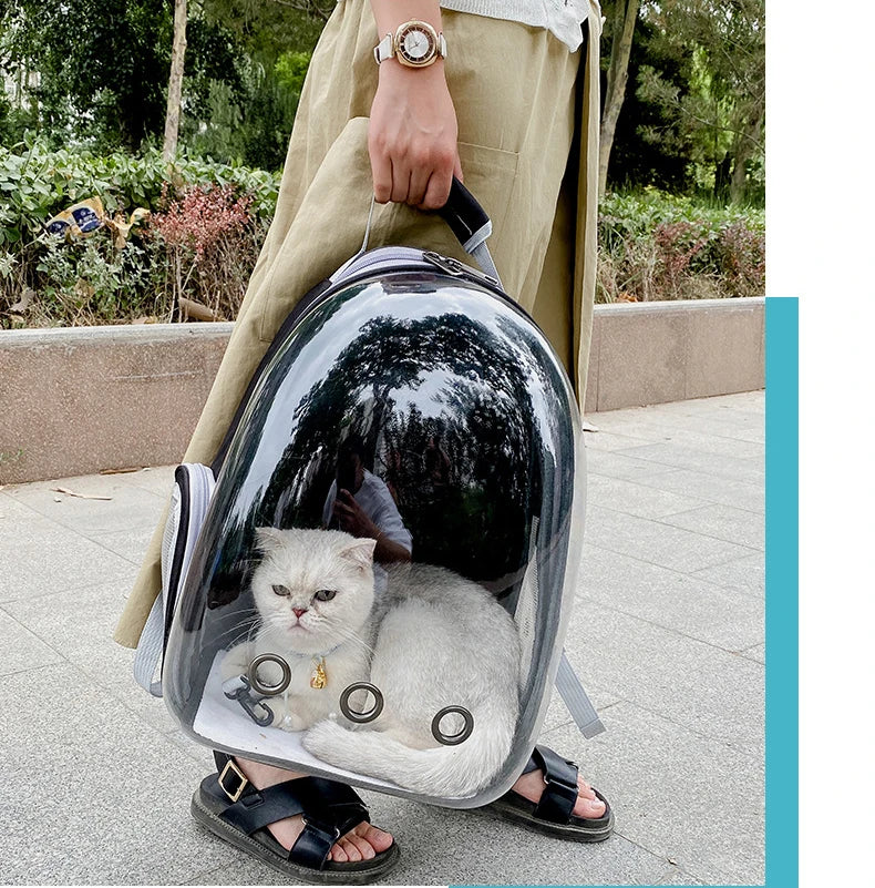 Transparent Pet Backpack – Breathable Cat & Small Dog Carrier, Portable Space Capsule Design