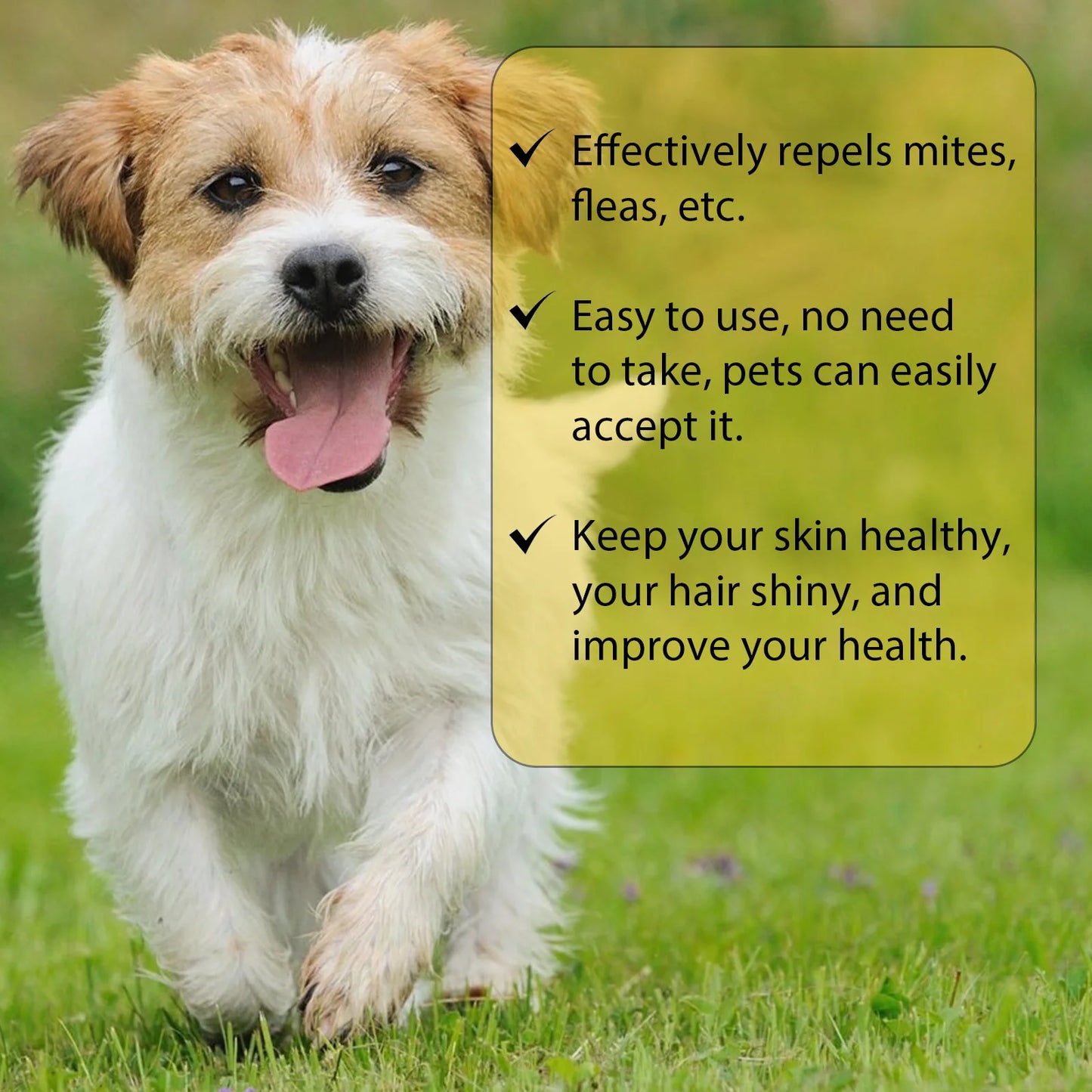 Cat Anti-Flea & Tick Drops