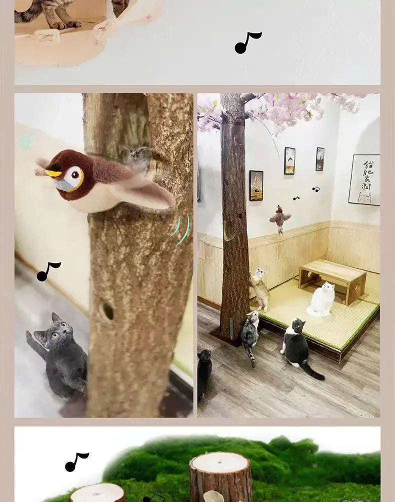 Interactive Catnip Bird Toy for Cats & Dogs