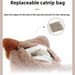 Interactive Catnip Bird Toy for Cats & Dogs