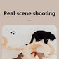 Interactive Catnip Bird Toy for Cats & Dogs