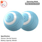Indestructible Plush Dog Chew Toy