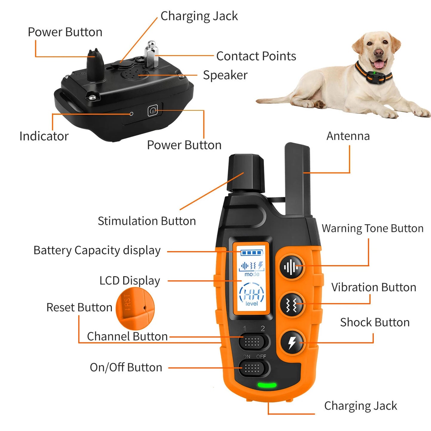 Waterproof Electric Dog Training Collar