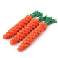 Dog Chew Toy