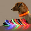 LED Nylon Dog Collar & Leash – Rechargeable Glow-in-the-Dark Night Safety Pet Accessory