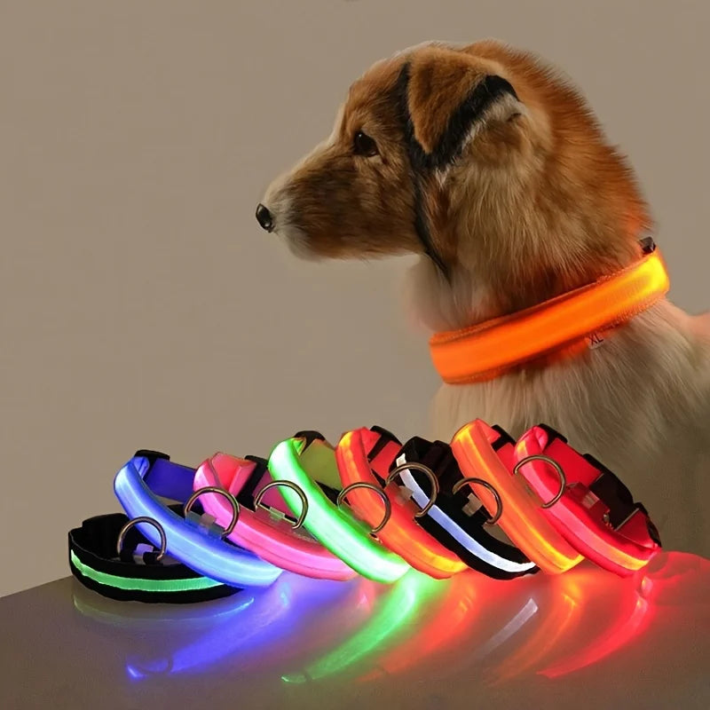 LED Nylon Dog Collar & Leash – Rechargeable Glow-in-the-Dark Night Safety Pet Accessory