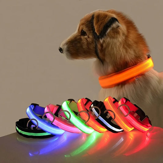LED Nylon Dog Collar & Leash – Rechargeable Glow-in-the-Dark Night Safety Pet Accessory