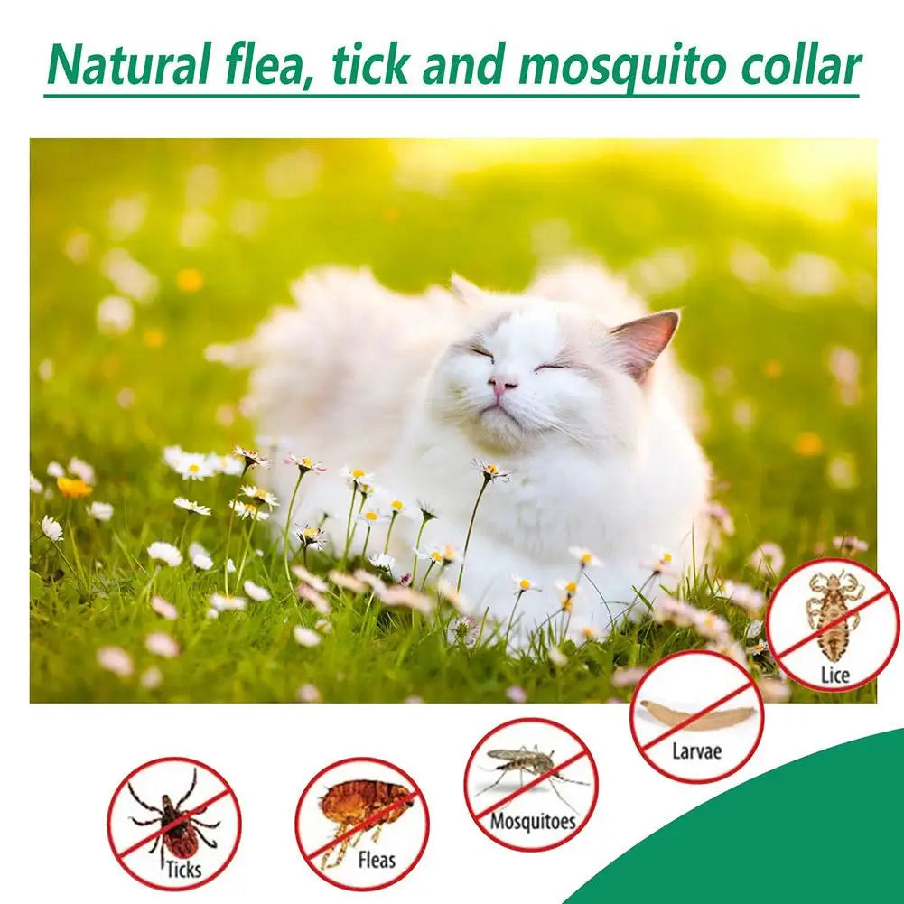 High-End Pet Flea & Tick Killer Drops 60ml