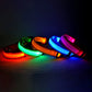 LED Nylon Dog Collar & Leash – Rechargeable Glow-in-the-Dark Night Safety Pet Accessory