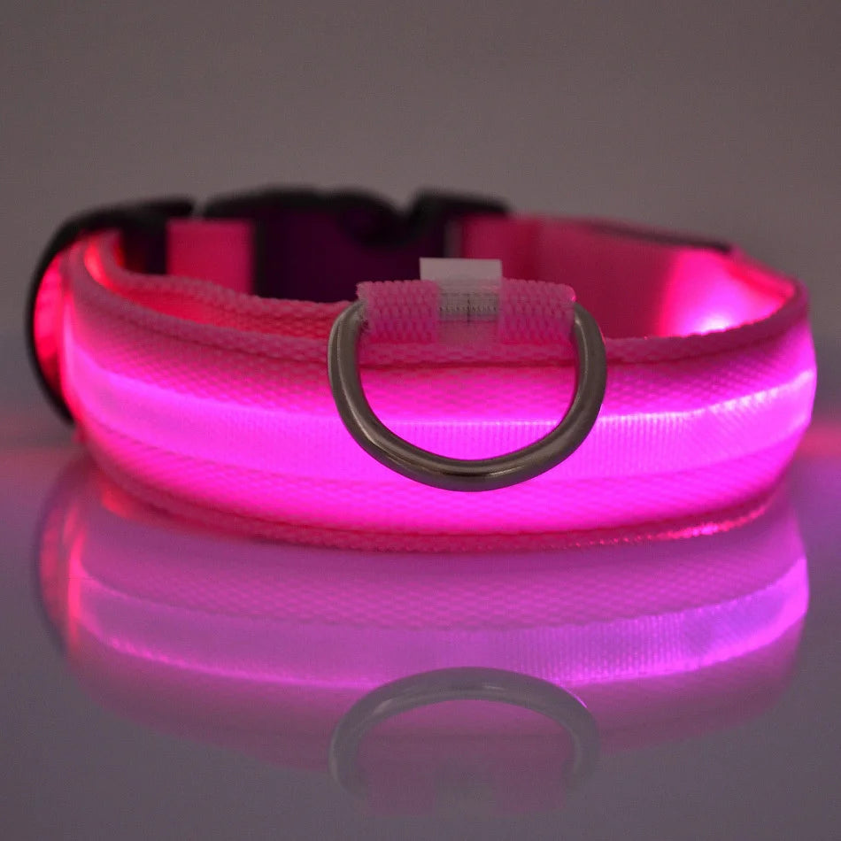 LED Nylon Dog Collar & Leash – Rechargeable Glow-in-the-Dark Night Safety Pet Accessory