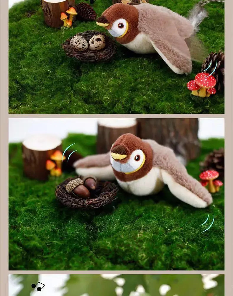Interactive Catnip Bird Toy for Cats & Dogs