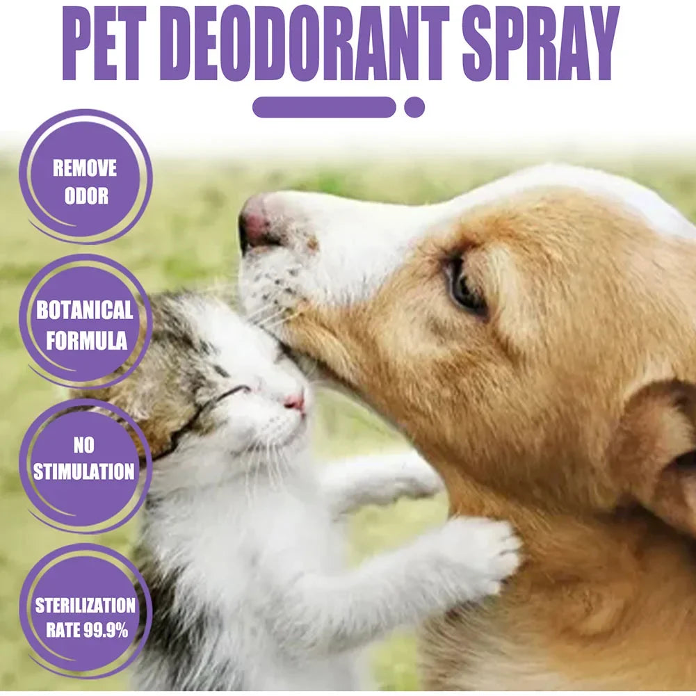 Lavender Pet Deodorizer Spray