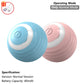 Indestructible Plush Dog Chew Toy