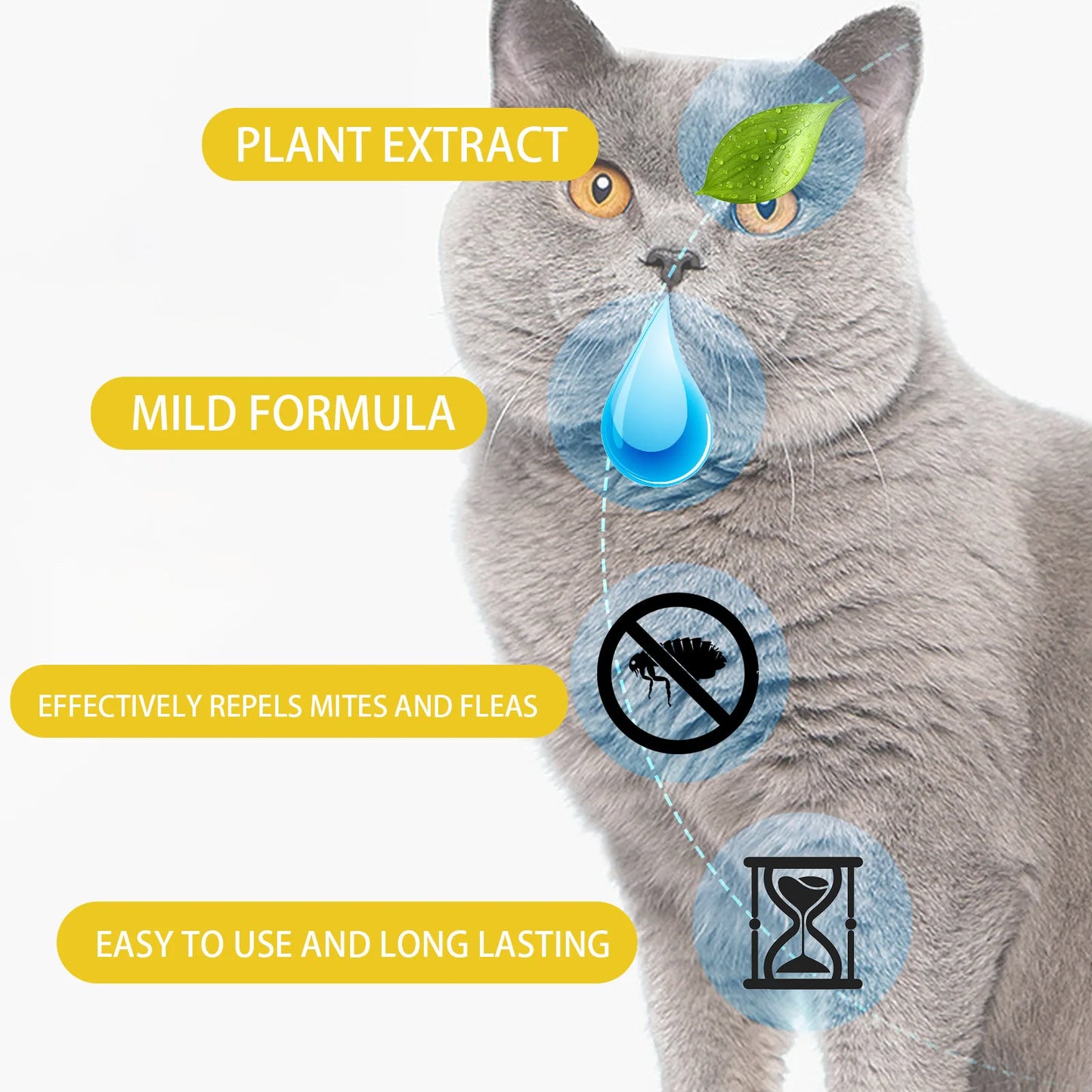Cat Anti-Flea & Tick Drops