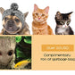 DualPet 20-Piece Cat Toy Set