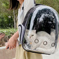 Transparent Pet Backpack – Breathable Cat & Small Dog Carrier, Portable Space Capsule Design